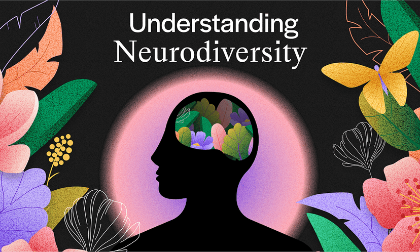 Lima Project Showcase 4